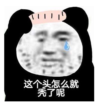计算机并不会导致人头秃...